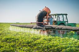 Американские учёные: пестициды есть почти во всех продуктах питания.